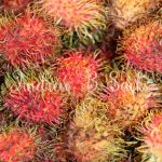 132 – Prickly