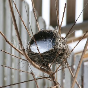 144 - Spring Will Come