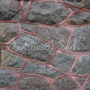 165 – This Is What The Human Veins Look Like